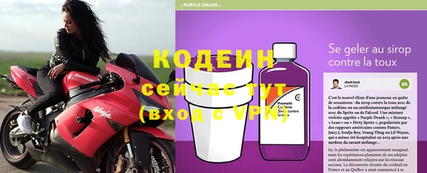 прущие грибы Инсар