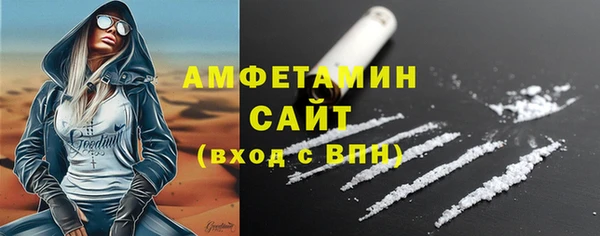 прущие грибы Инсар