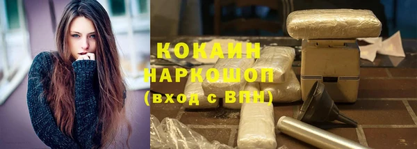 бошки Инта
