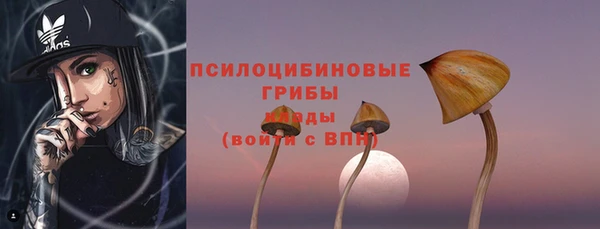 прущие грибы Инсар