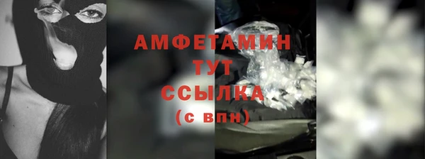 прущие грибы Инсар