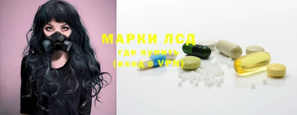 бошки Инта
