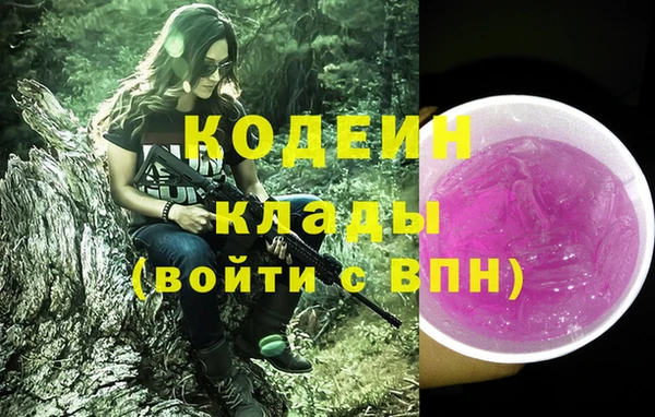 прущие грибы Инсар