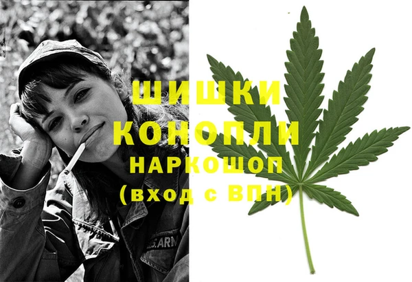 прущие грибы Инсар