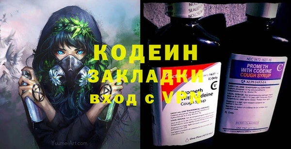 прущие грибы Инсар
