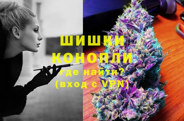 бошки Инта