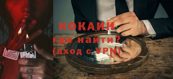 прущие грибы Инсар