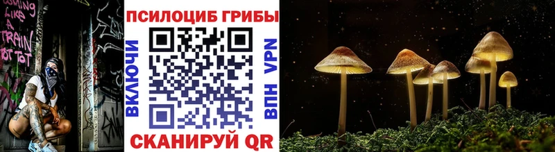 Купить закладки  Усть-Джегута  Галлюциногенные грибы прущие грибы 